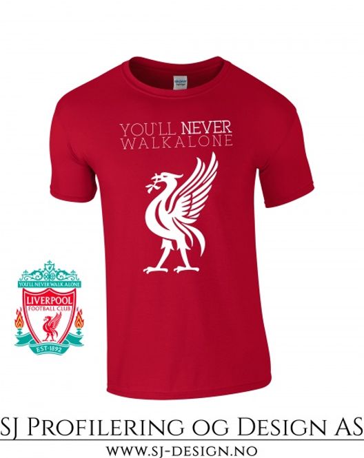 Hovedbilde You´ll never walk alone